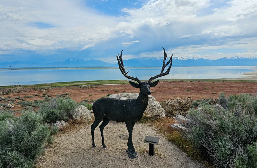 A bronze wildlife statue on the Antelope Island shoreline trail with the Great Salt Lake behind
