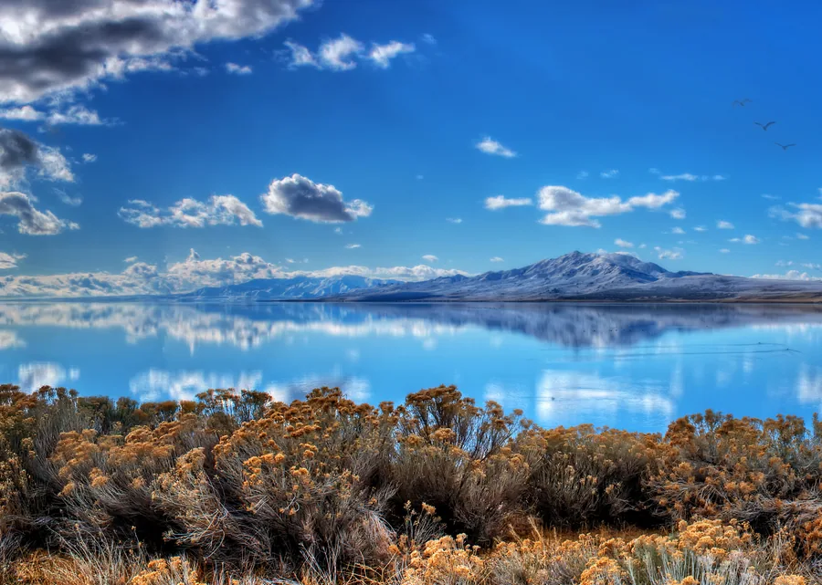 The grassland and shoreline of Antelope Island State Park under an open Utah sky