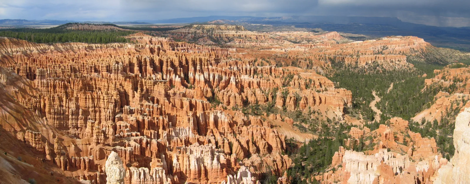 The Bryce Amphitheatre packed with orange hoodoos, seen from the rim trail.