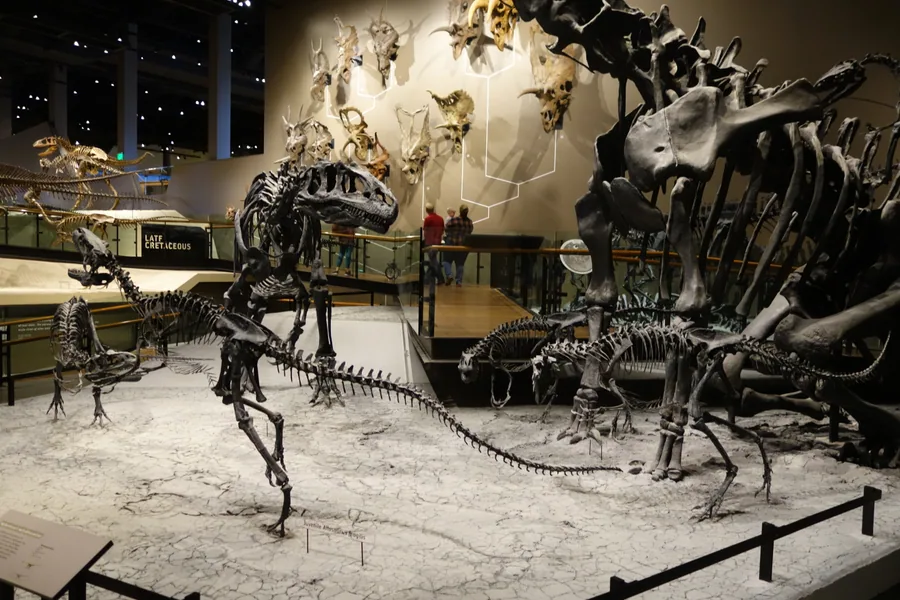 Mounted Jurassic skeletons in the Past Worlds gallery at the Natural History Museum of Utah, the hall rising several floors above them.