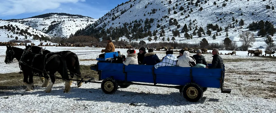 Visitors riding a horse-drawn sleigh across the snowfields at Hardware Ranch Wildlife Management Area