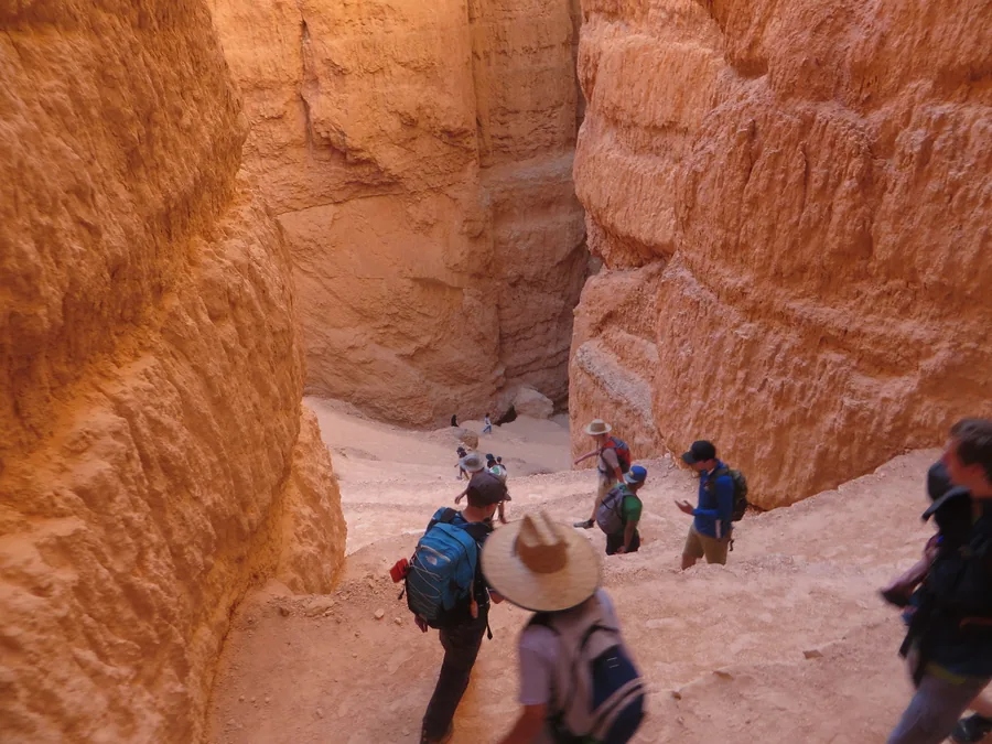 Walkers dwarfed by the canyon walls on the Wall Street section of the Navajo Loop.