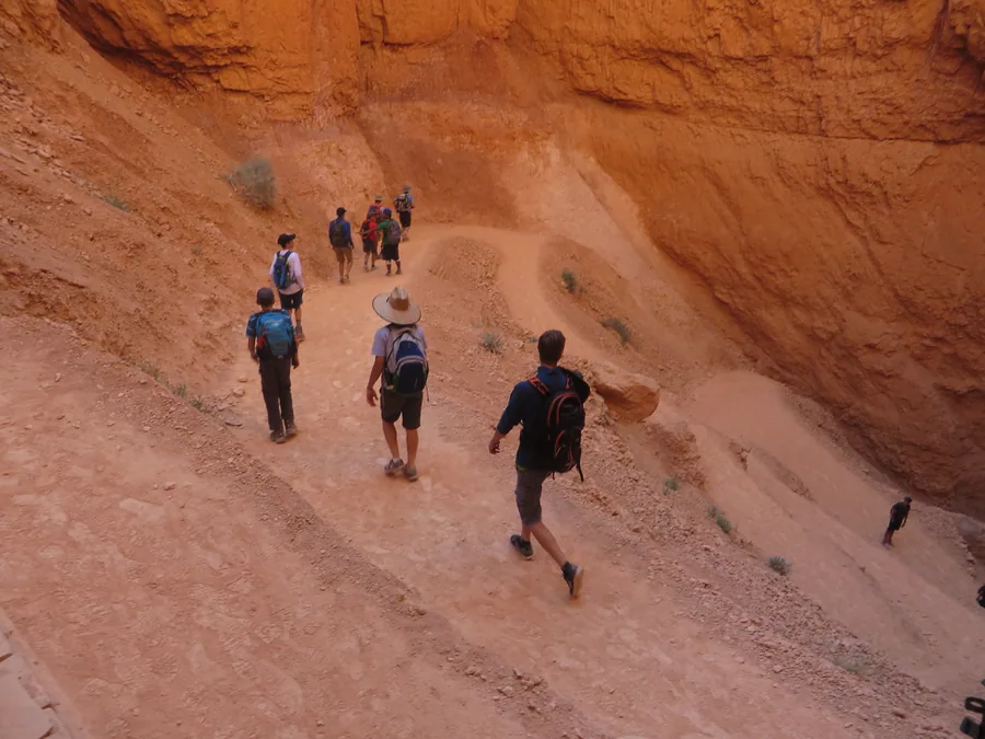 Hikers descending the switchbacks of the Navajo Loop into Wall Street, a narrow slot between sheer walls.