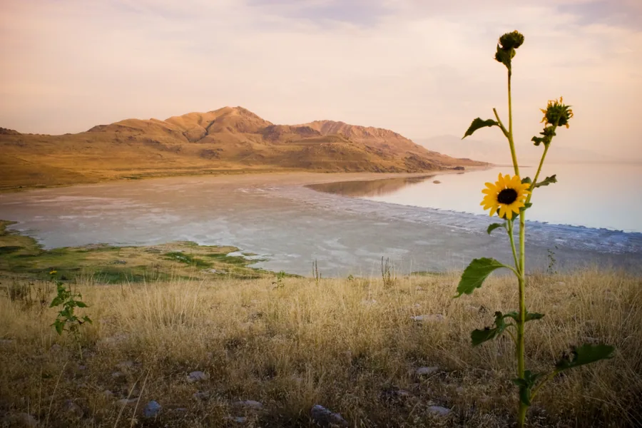 Sunset over the Great Salt Lake from Antelope Island, the hour before the stars come out.